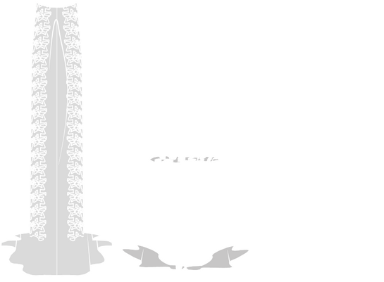 Outfit 2 (SPEC)